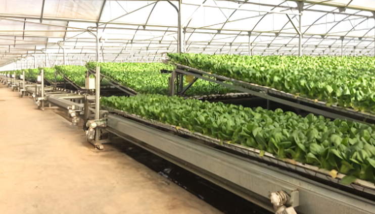 Agricultura automatizada